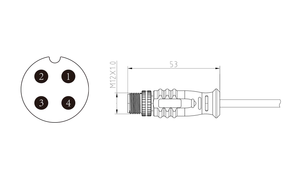 Male straight head of 4Pin molded M12 connector