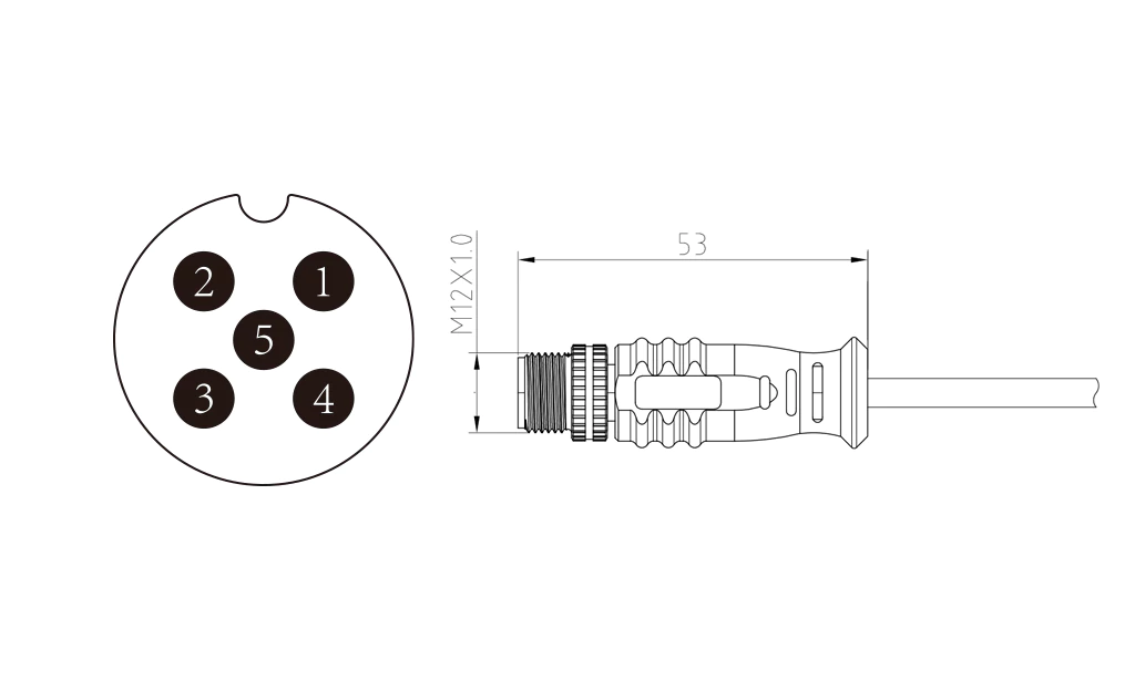 Male straight head of 5Pin molded M12 connector