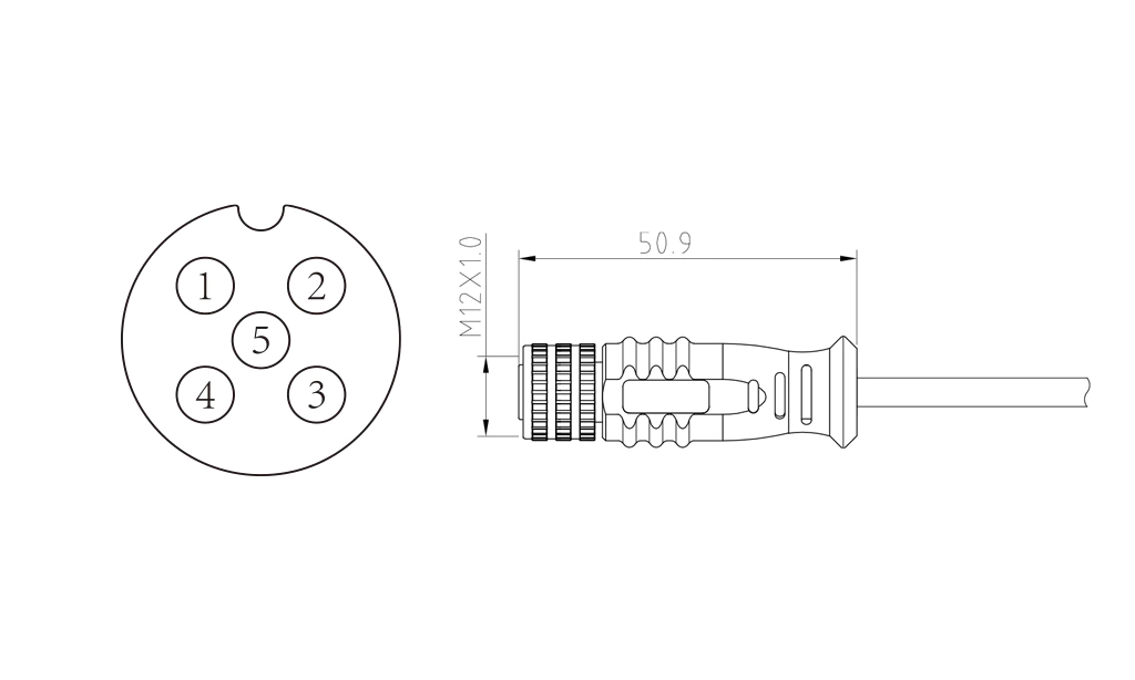 Female straight head of 5Pin molded M12 connector