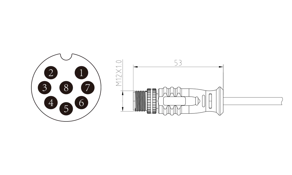 Male straight head of 8Pin molded M12 connector