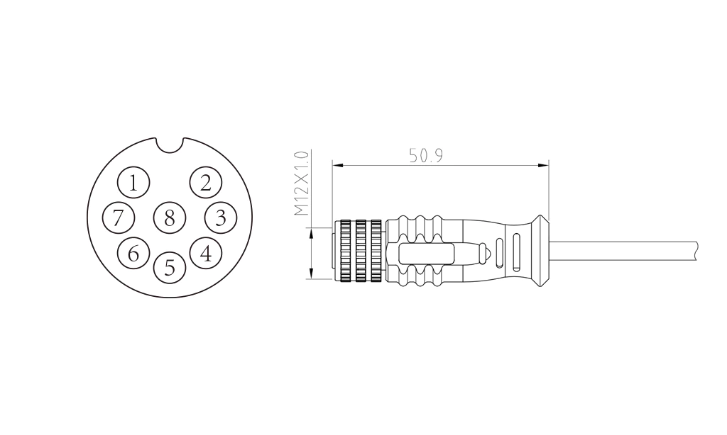 Female straight head of 8Pin molded M12 connector