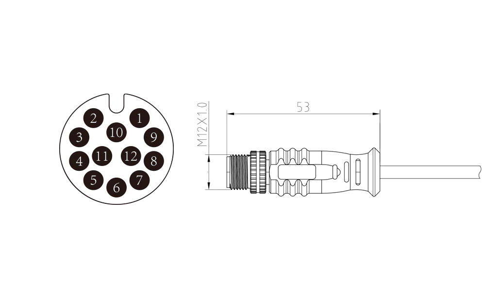 Male straight head of 12Pin molded M12 connector