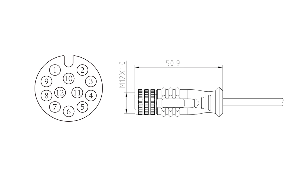 Female straight head of 12Pin molded M12 connector