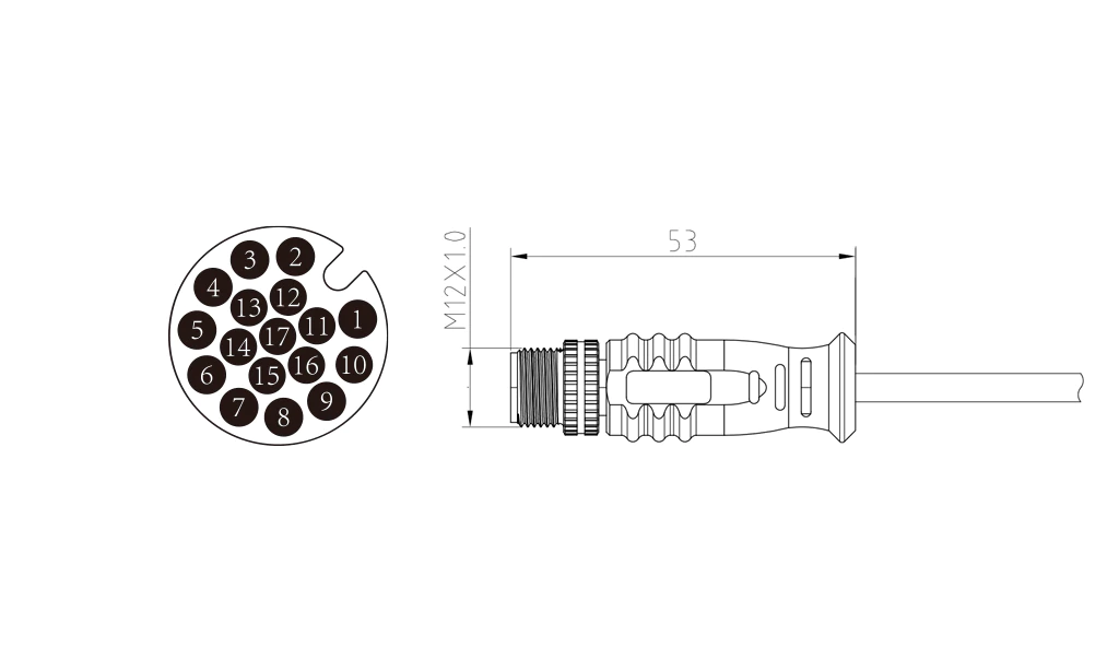 Male straight head of 17Pin molded M12 connector