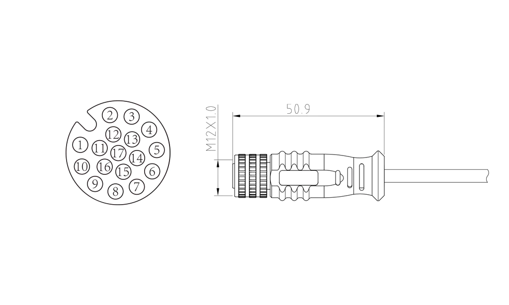 Female straight head of 17Pin molded M12 connector